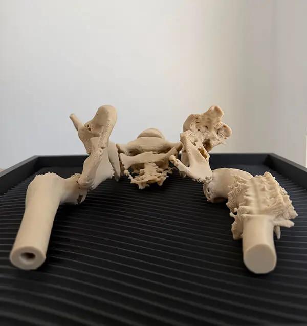 3D-Druck komplexer Knochen zur Unterstützung der orthopädischen präoperativen Planung! Ultra-detailliert!